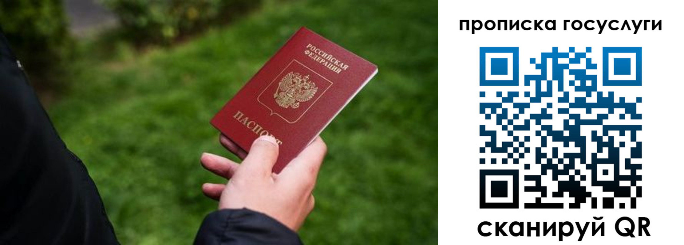 прописка для работы в Благодарном